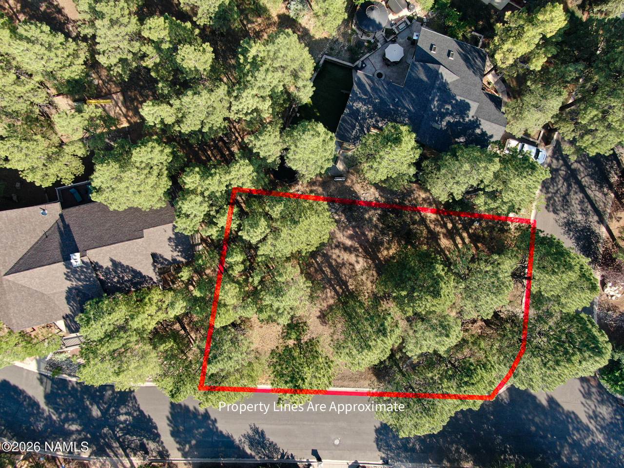 4405 Dreamy Lane - Photo 1