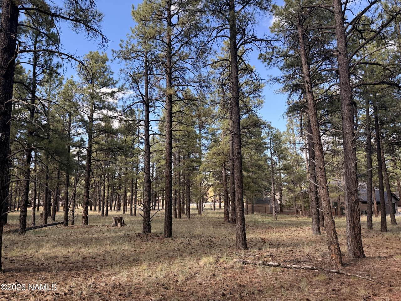 3222 Grey Hawk - Photo 1