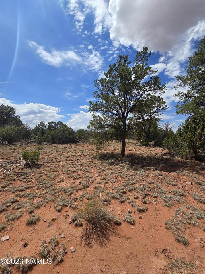 2260 Kaibab Road - Photo 1