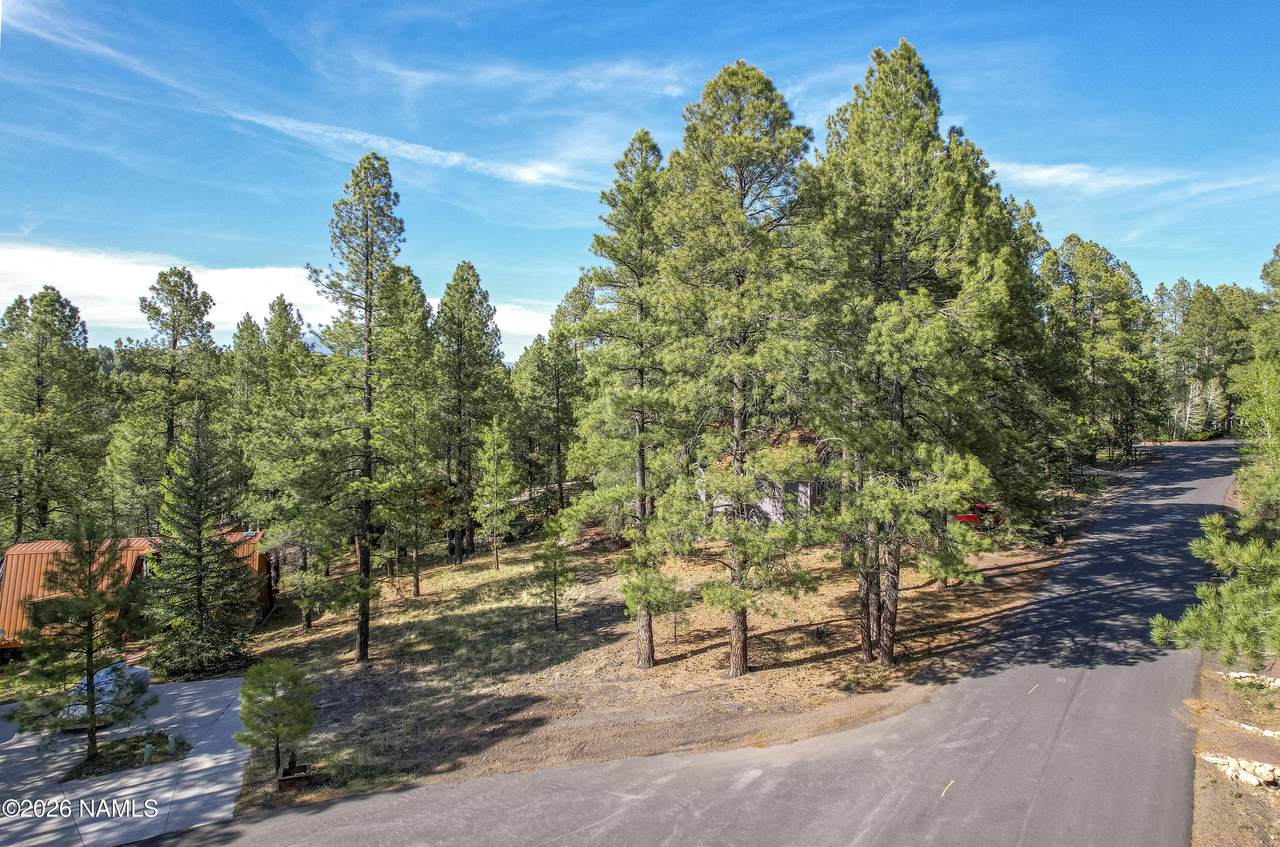 4263 Canyon Loop - Photo 1