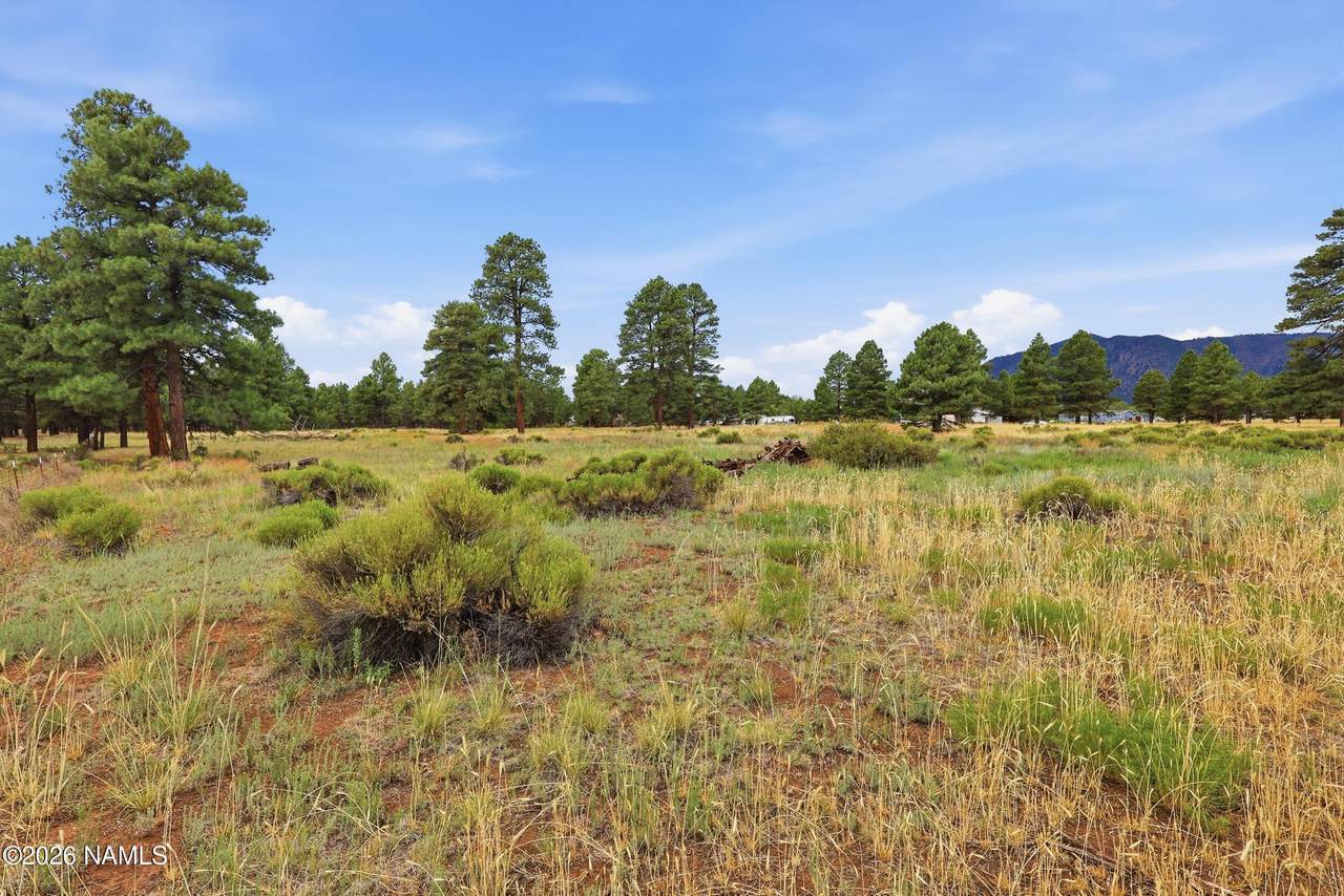 6314 Burris Lane - Photo 1