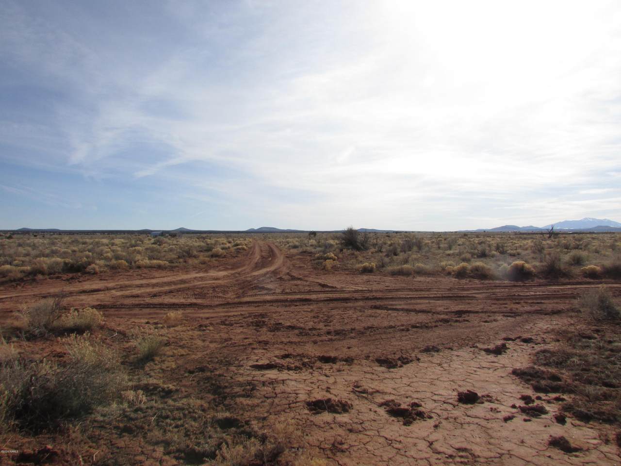 1835 Wildflower Way - Photo 1