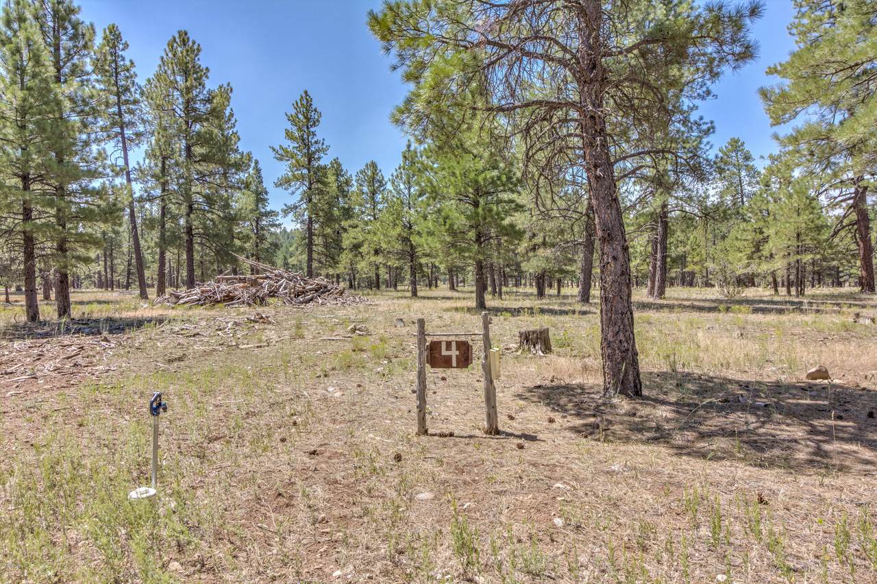 22958 Fox Ranch Road - Photo 1