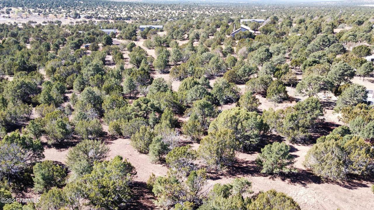 5614 Juliane Drive - Photo 1