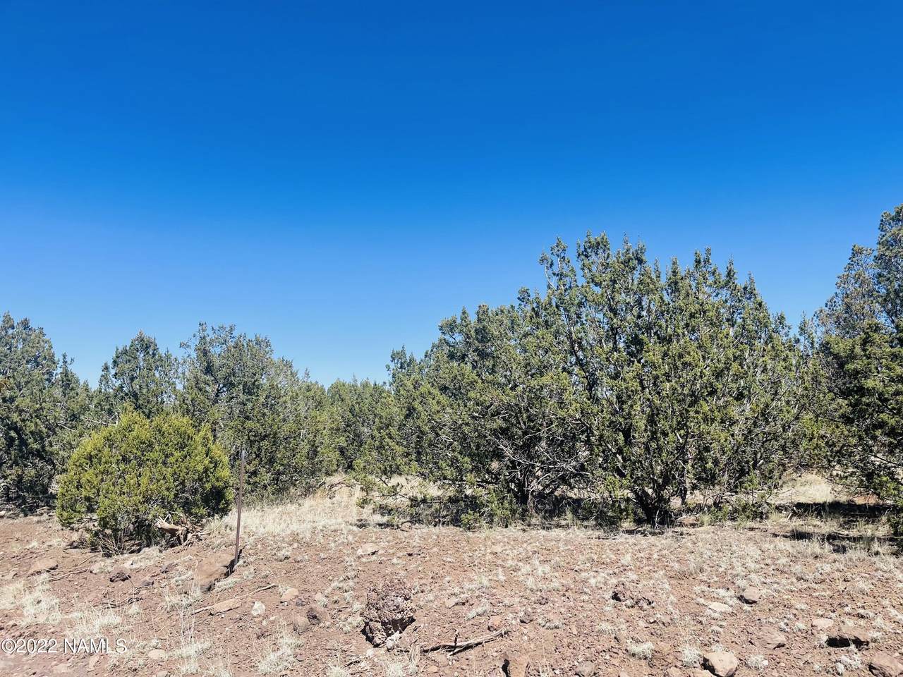 1301 Forest Service 736 Road - Photo 1