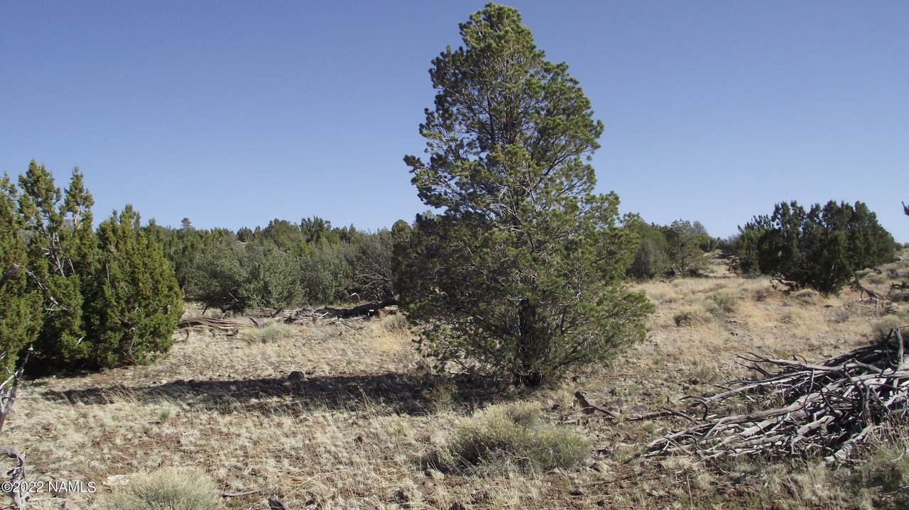 11921 Mesa View Road - Photo 1