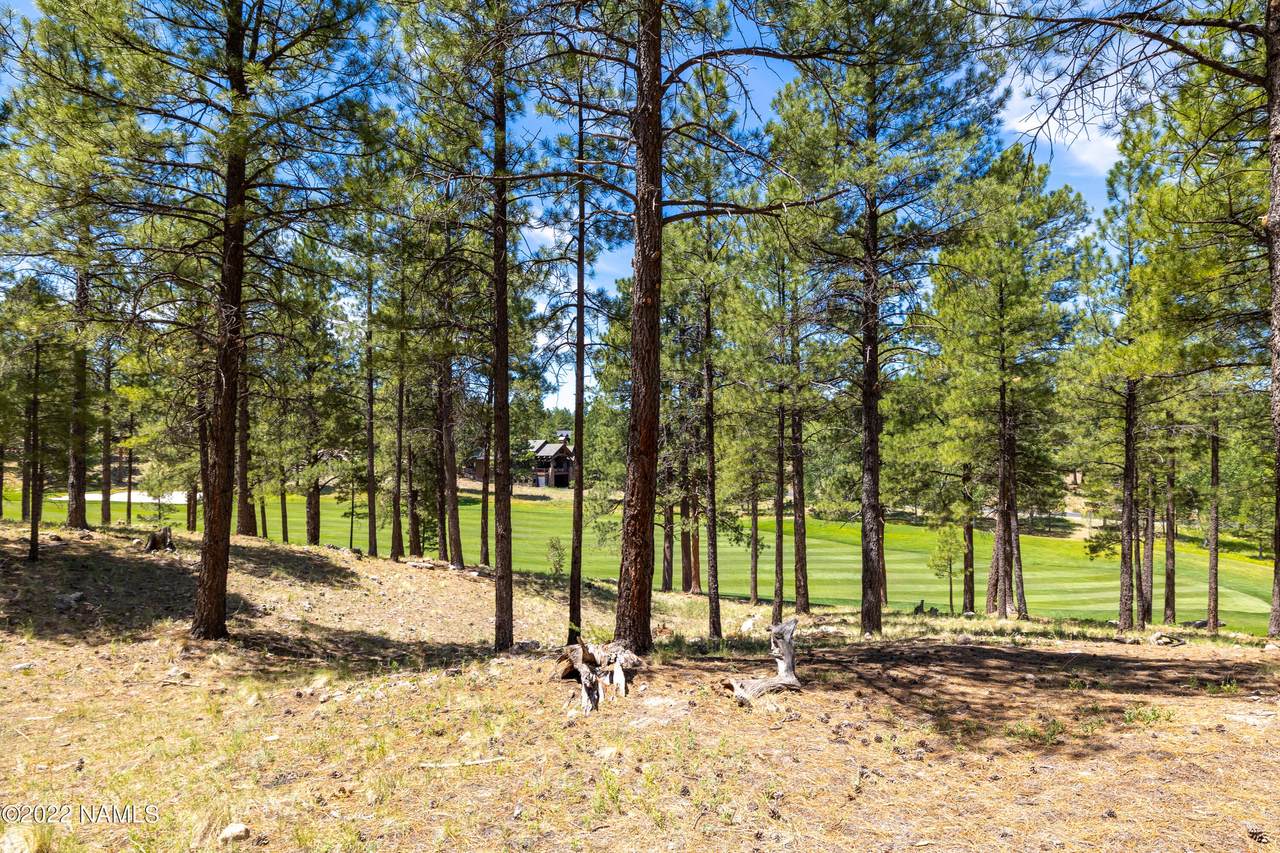 1689 Solitude Court - Photo 1