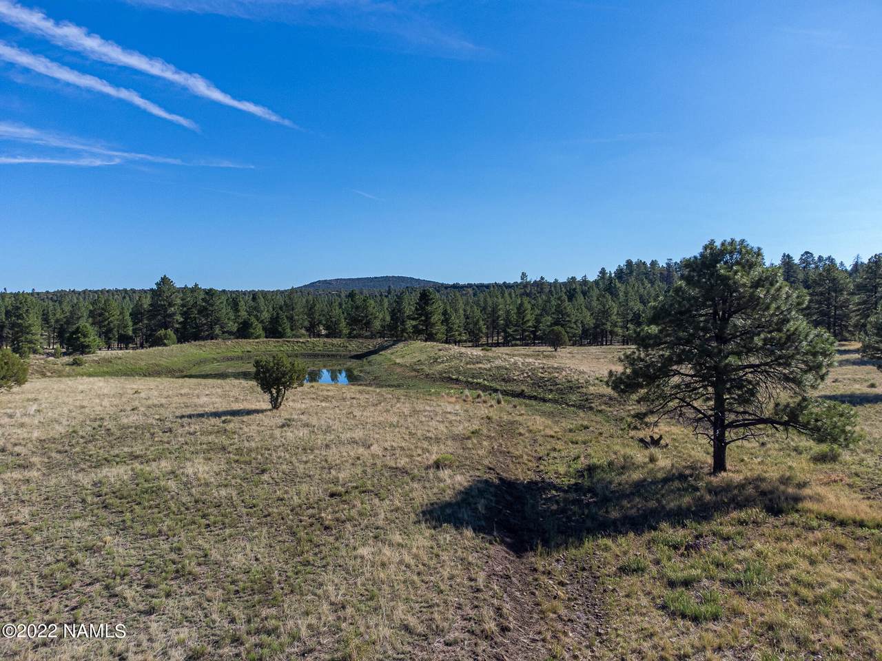 4 Pine Springs Road - Photo 1