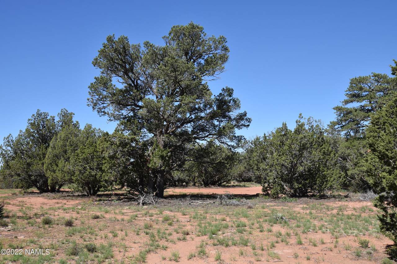 596 Overland Trail - Photo 1