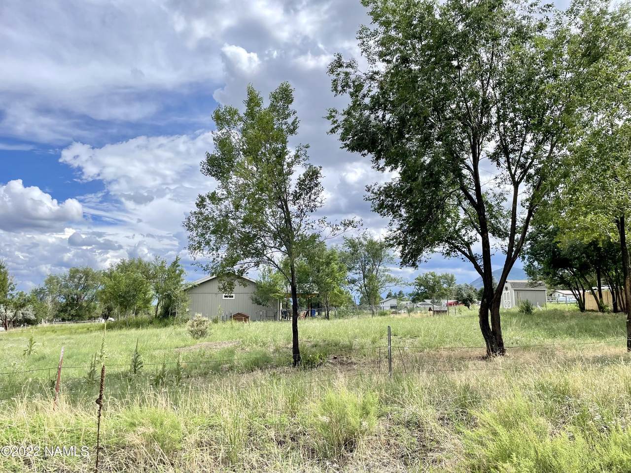 11430 Alice Drive - Photo 1