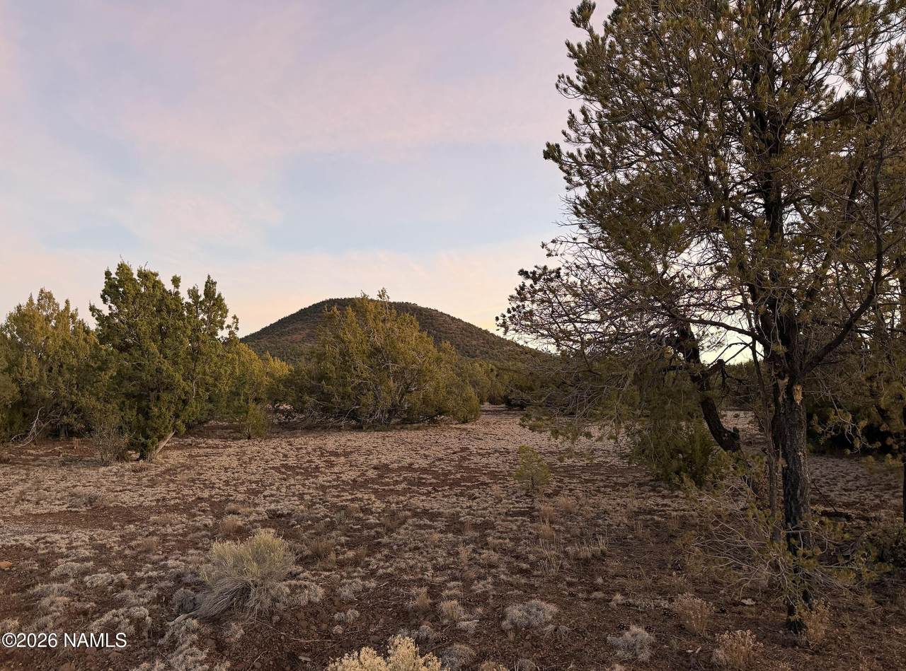 688 Bellavista Loop - Photo 1