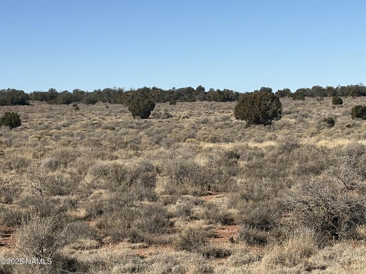 1625 Laramie Drive - Photo 1