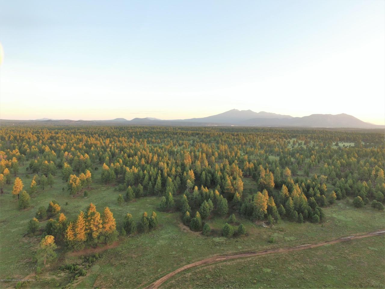 Tbd 3T Coconino Forest Road - Photo 1