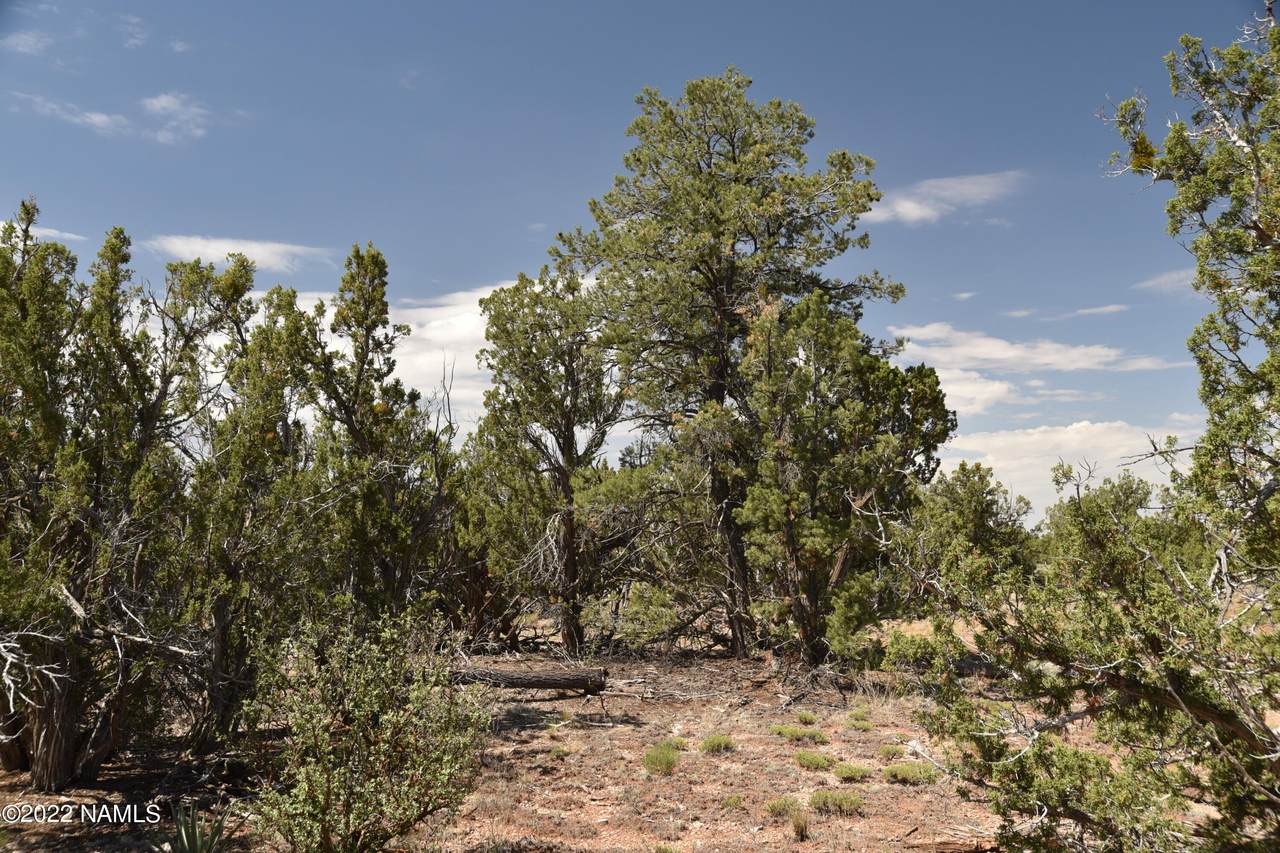 4799 Hidden Ranch Road - Photo 1