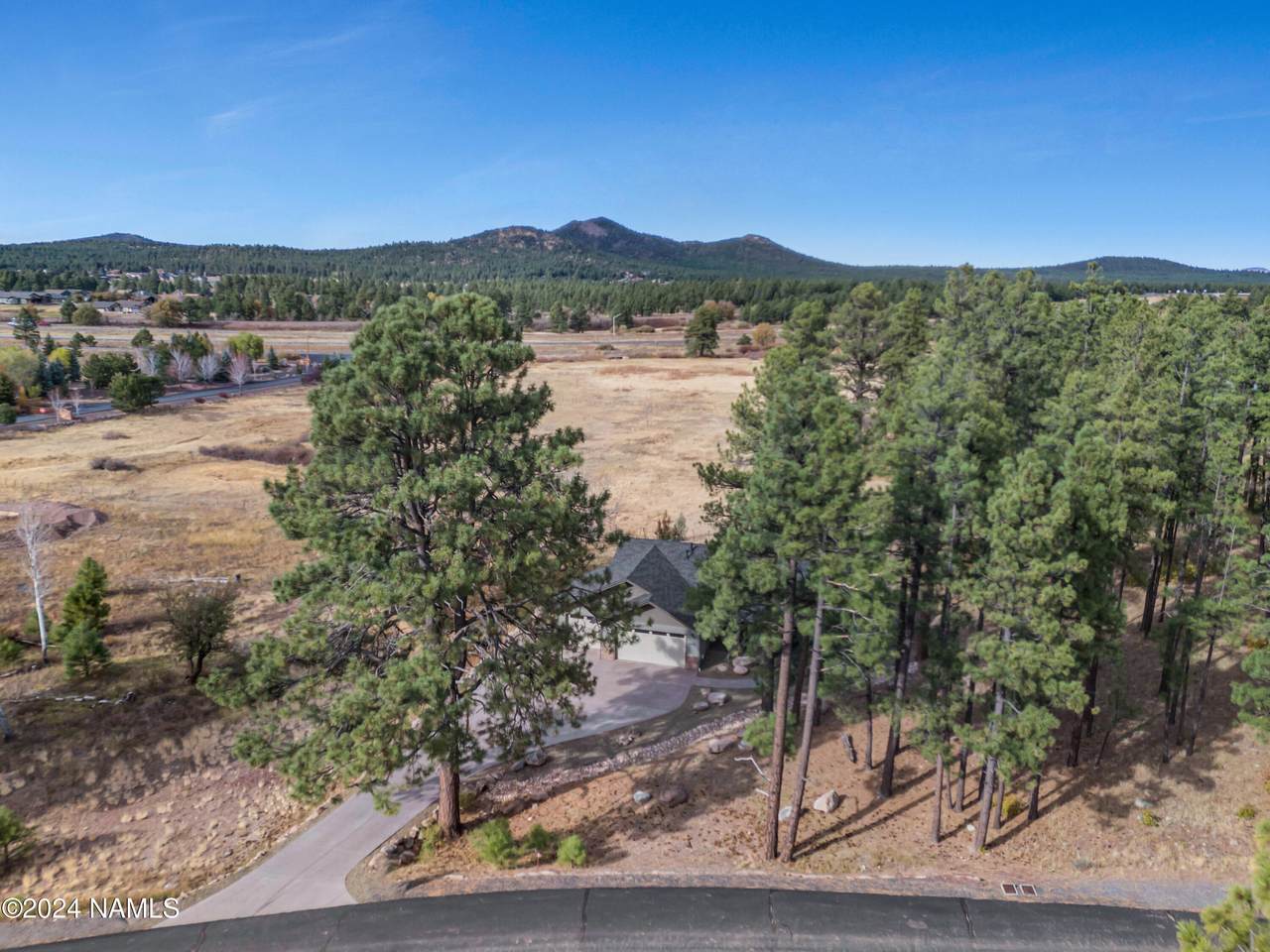 1019 Stone Hollow Loop - Photo 1