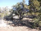627 Hualpai Trail - Photo 3