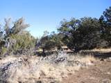 627 Hualpai Trail - Photo 4