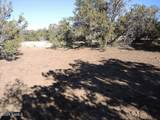 627 Hualpai Trail - Photo 6