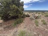 1123 Broken Arrow Drive - Photo 2