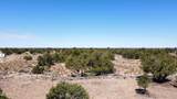 4681 Valle Road - Photo 9