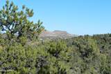 0001 W Everlark, Parcel B Trail - Photo 11