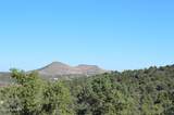 0001 W Everlark, Parcel B Trail - Photo 12