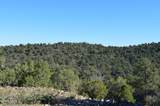 0001 W Everlark, Parcel B Trail - Photo 4