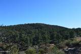 0001 W Everlark, Parcel B Trail - Photo 9