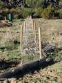 107 County Road 8206 - Photo 8