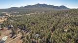 360 Golden Meadows Trail - Photo 29