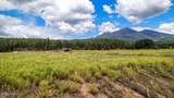 9290 Ranch At The Peaks Way - Photo 10