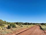 Xxxx Lasso Loop - Photo 7