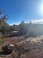 872 Deerlick Trail - Photo 13