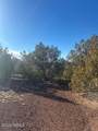 908 Deerlick Trail - Photo 10