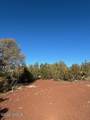 908 Deerlick Trail - Photo 11