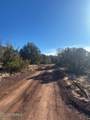 908 Deerlick Trail - Photo 5