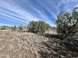 205-18-010 Dunbar Boulevard - Photo 3