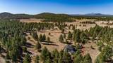 4540 Forest Ranches Loop - Photo 56