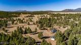 4540 Forest Ranches Loop - Photo 57