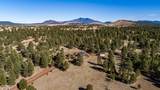 4540 Forest Ranches Loop - Photo 59