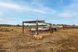 4770 Durango Way - Photo 30