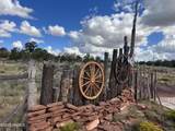 6197 Bird Dog Circle - Photo 4