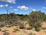 6197 Bird Dog Circle - Photo 43