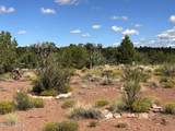 6197 Bird Dog Circle - Photo 44