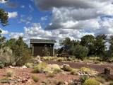 6197 Bird Dog Circle - Photo 57