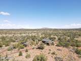6197 Bird Dog Circle - Photo 66