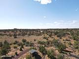 6197 Bird Dog Circle - Photo 69