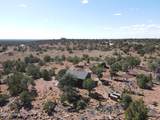 6197 Bird Dog Circle - Photo 75