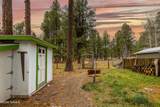 419 Kiowa - Photo 5