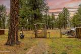 419 Kiowa - Photo 6